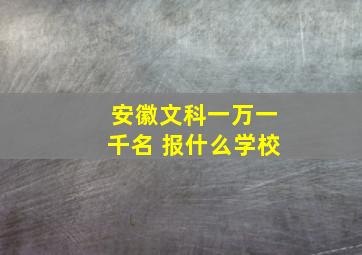 安徽文科一万一千名 报什么学校